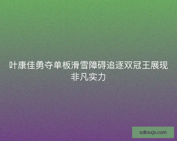 叶康佳勇夺单板滑雪障碍追逐双冠王展现非凡实力