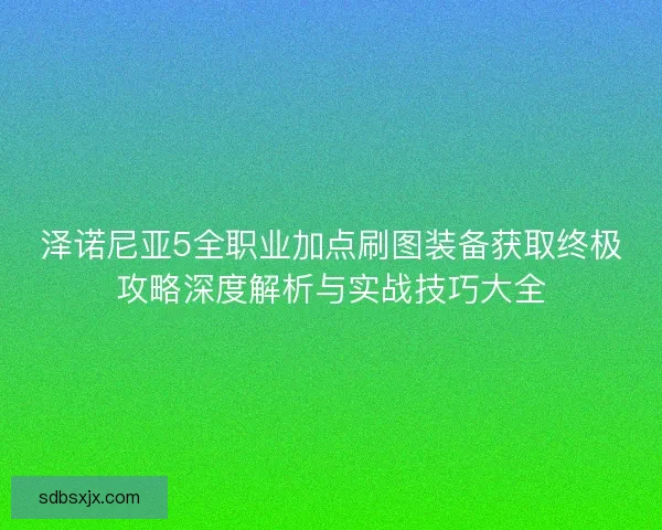 泽诺尼亚5全职业加点刷图装备获取终极攻略深度解析与实战技巧大全