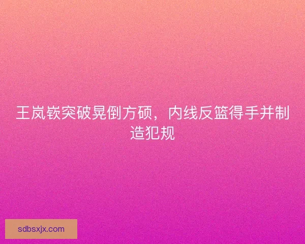 王岚嵚突破晃倒方硕，内线反篮得手并制造犯规